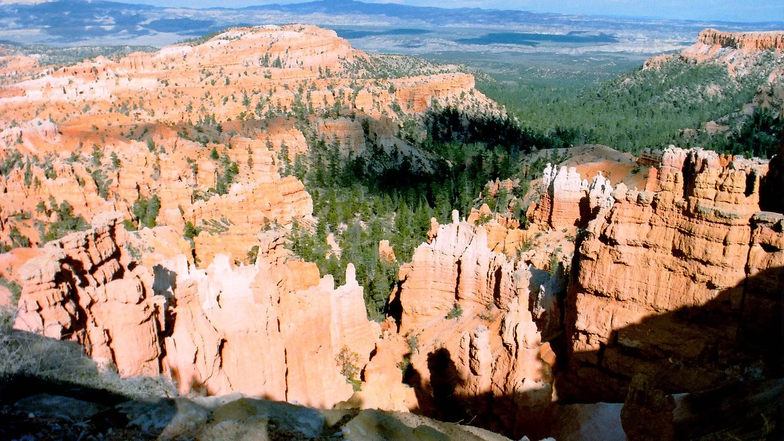 Hoodoos and forested canyon floor in Bryce Canyon seen from the rim at Sunrise Point