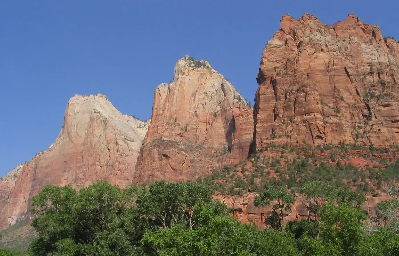 Three sandstone cliffs of the Court of the Patriarchs rising above cottonwood trees in Zion Canyon