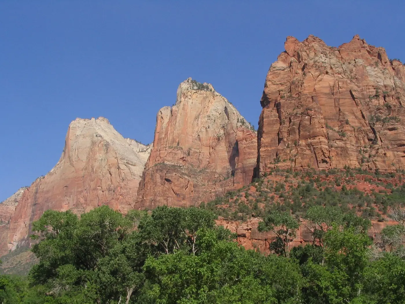 Three sandstone cliffs of the Court of the Patriarchs rising above cottonwood trees in Zion Canyon