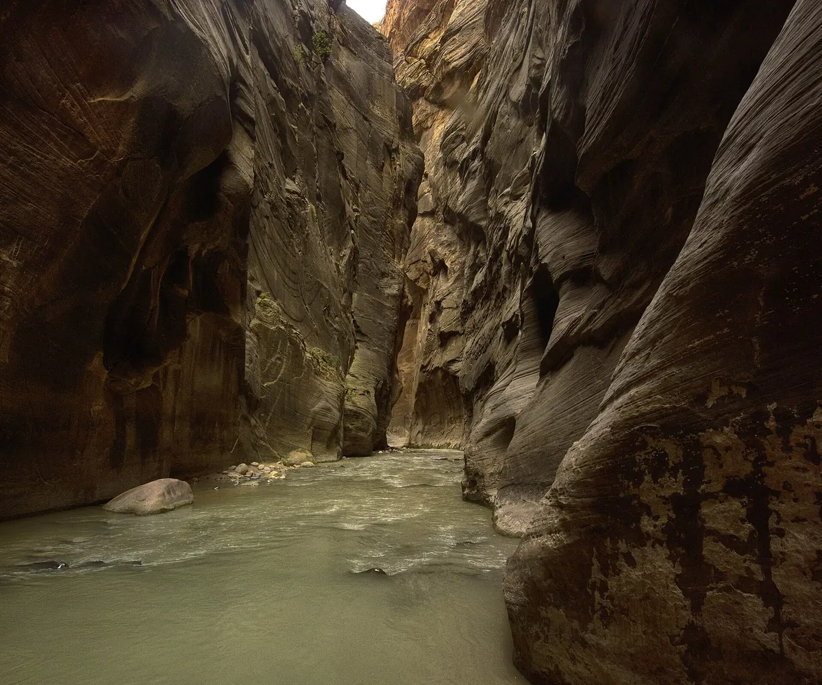 Narrow canyon walls rising above a shallow stretch of the Virgin River in The Narrows