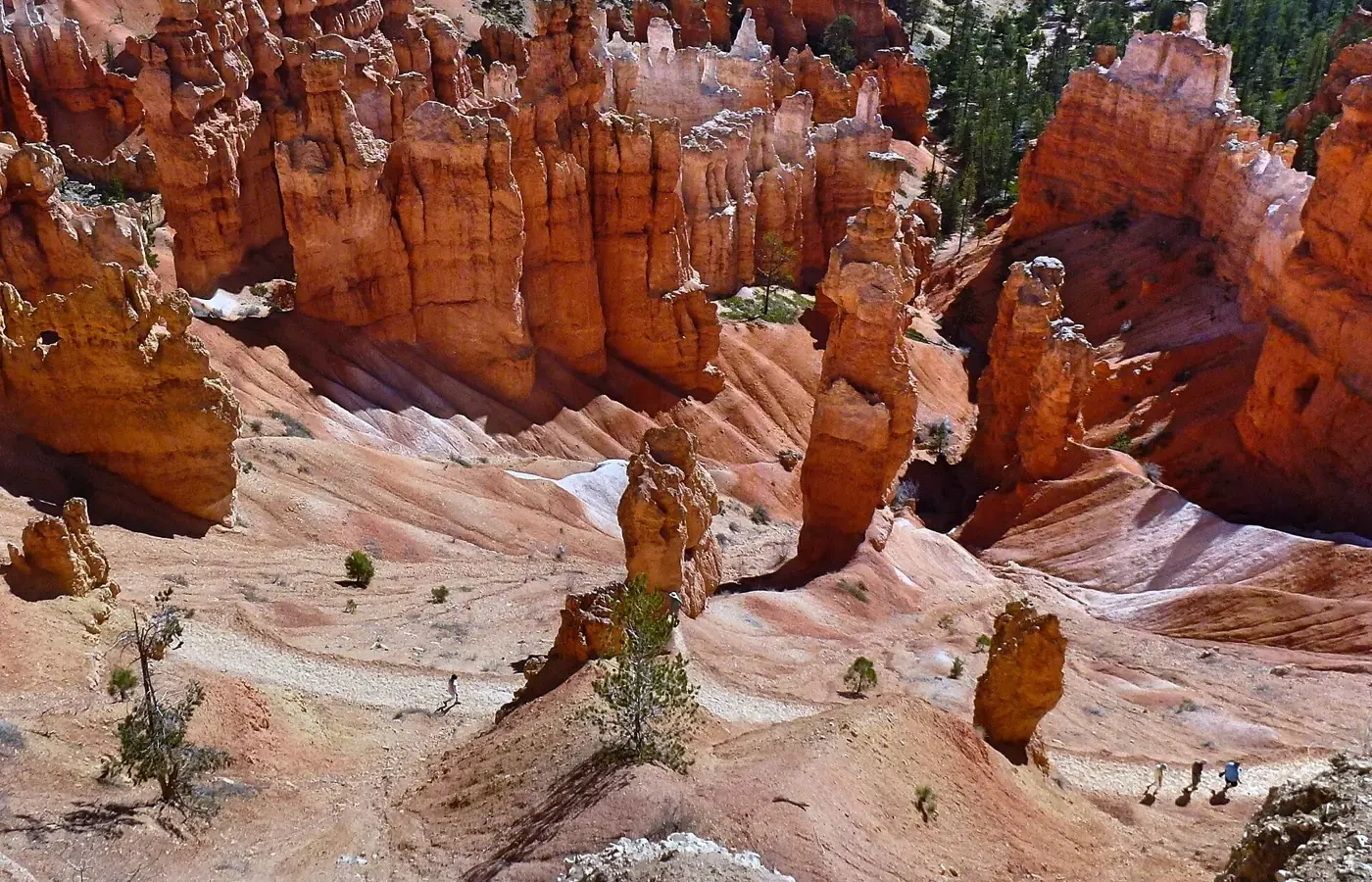 Hikers on trail switchbacks winding down through red hoodoos on the Navajo Loop in Bryce Canyon