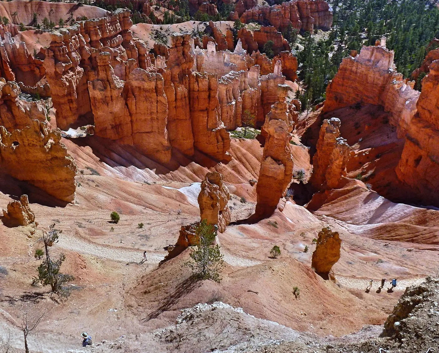 Hikers on trail switchbacks winding down through red hoodoos on the Navajo Loop in Bryce Canyon