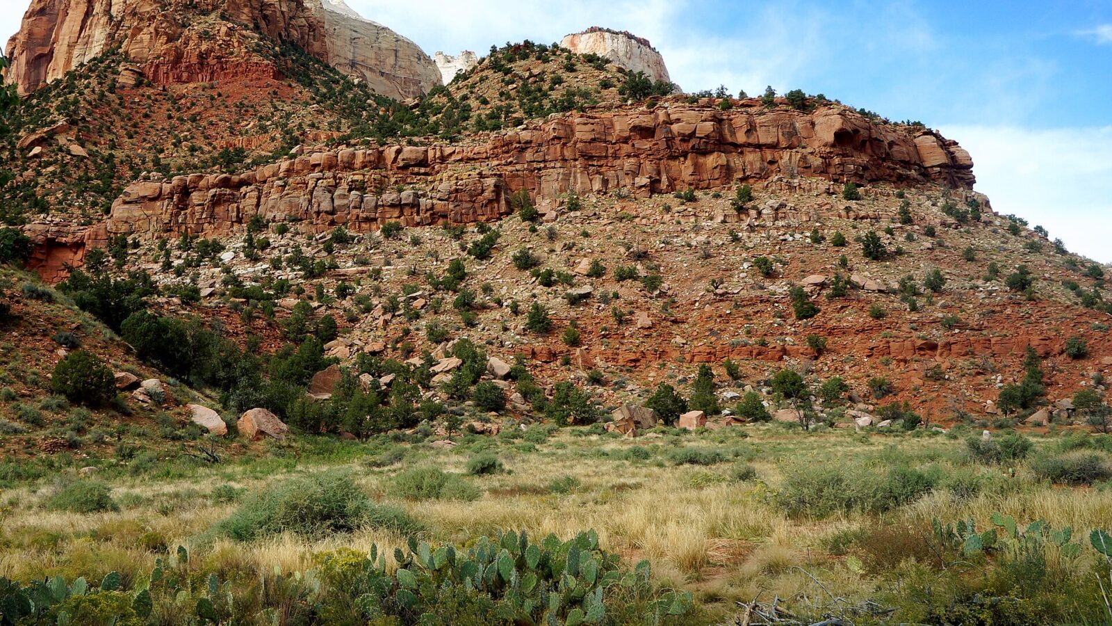 utah national parks road trip — layered Navajo sandstone cliffs in Zion National Park