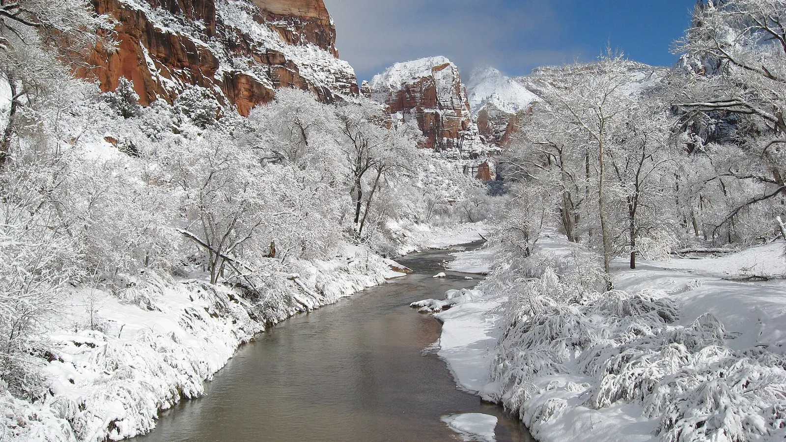 Zion National Park winter scene with snow-covered trees along the Virgin River in Zion Canyon